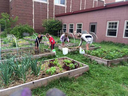 Garden Lessons: Food Webs Project: Part III (5th Grade) — Highland Youth  Garden