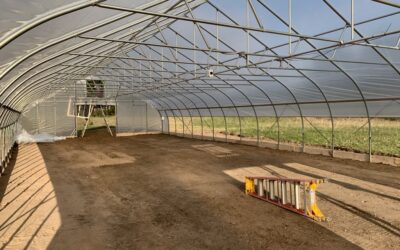 Feeding Michigan school children fresh, local produce