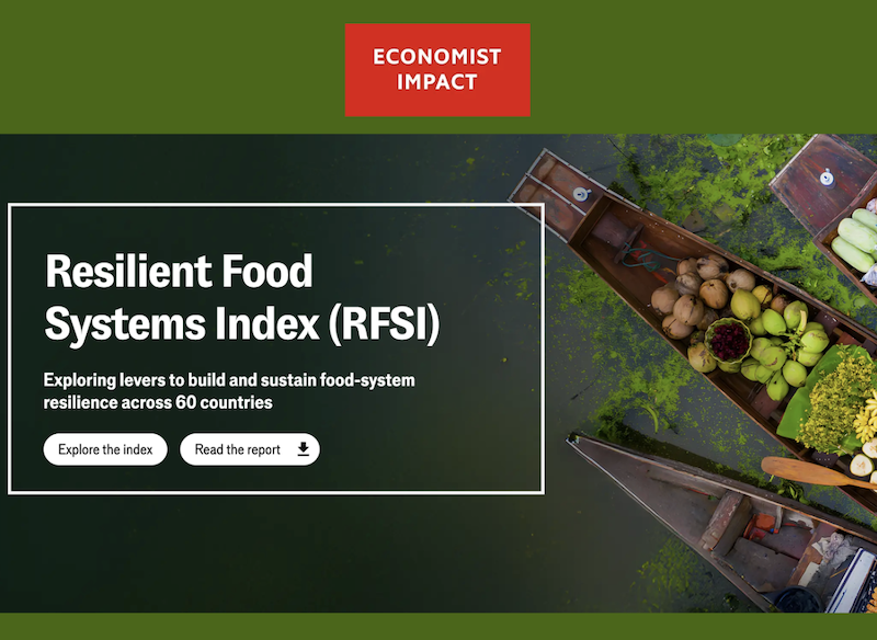 Building Food System Resilience Across 60 Countries - Groundwork Center